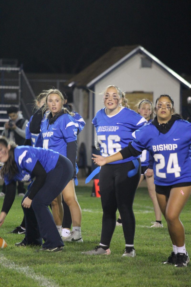 Senior team 