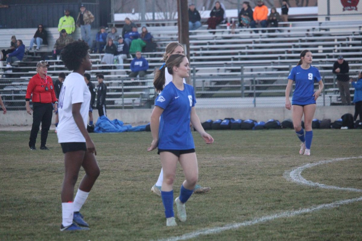 #6 Brooke Taylor
