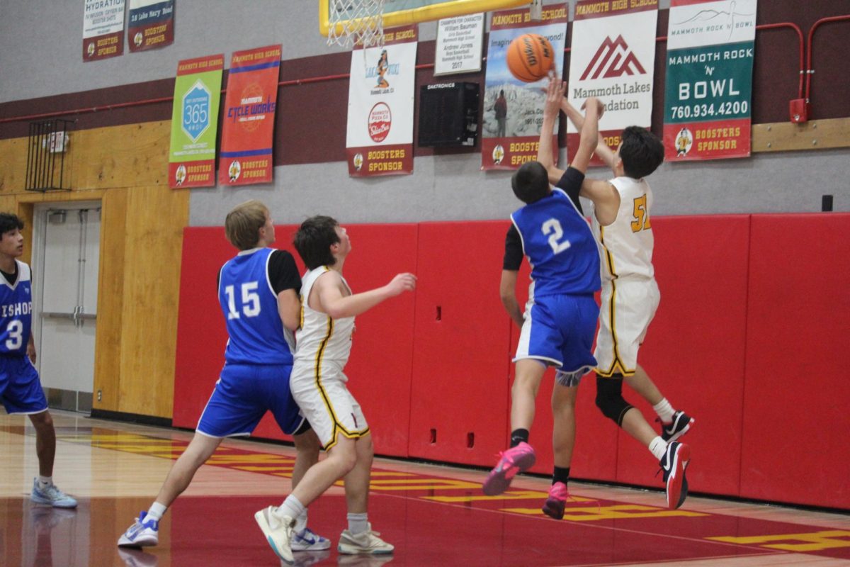 Bishop JV Basketball V.S Mammoth