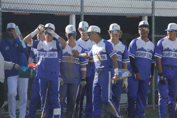Spring Sports Playoffs Begin