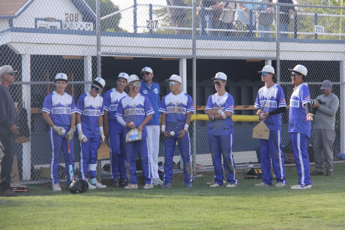 Seniors
