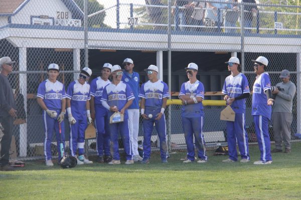 Seniors
